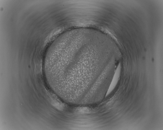 X0000067390685200604131932