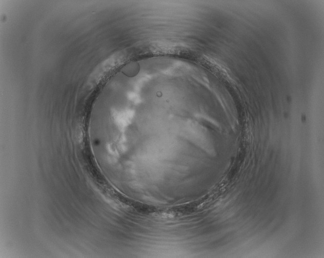 X0000067390687200604131932