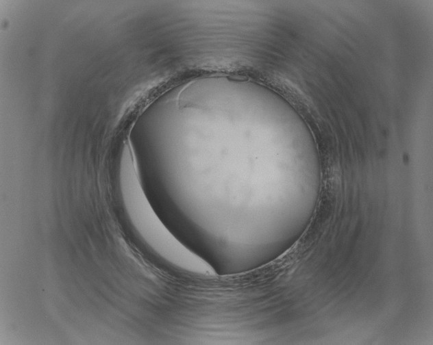 X0000067390688200604131932