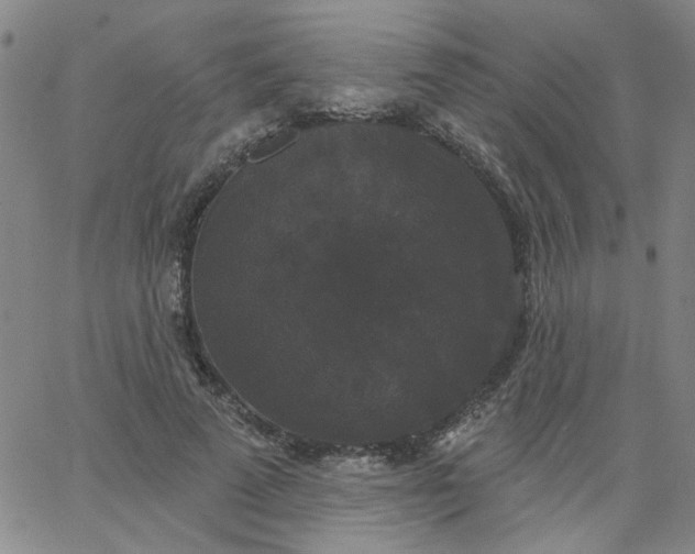 X0000067390689200604131932