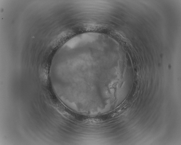 X0000067390691200604131932