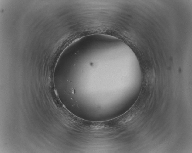 X0000067390693200604131932