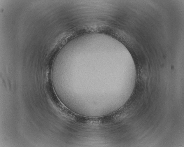 X0000067390694200604131932