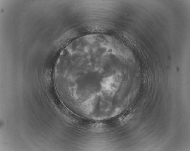 X0000067390695200604131932