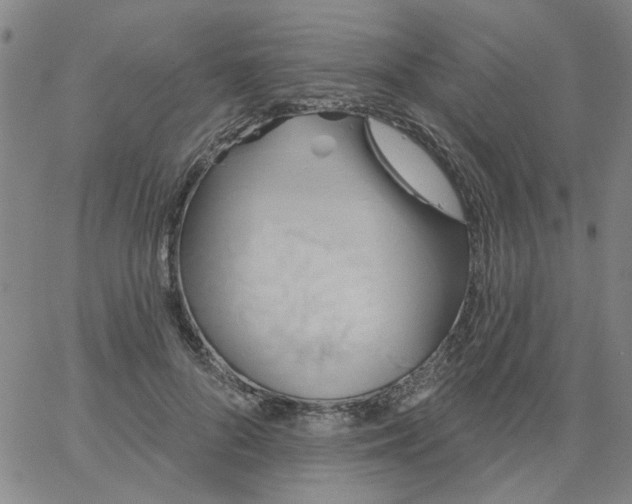 X0000067390696200604131932