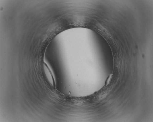 X0000067390697200604131932