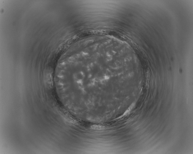 X0000067390699200604131932