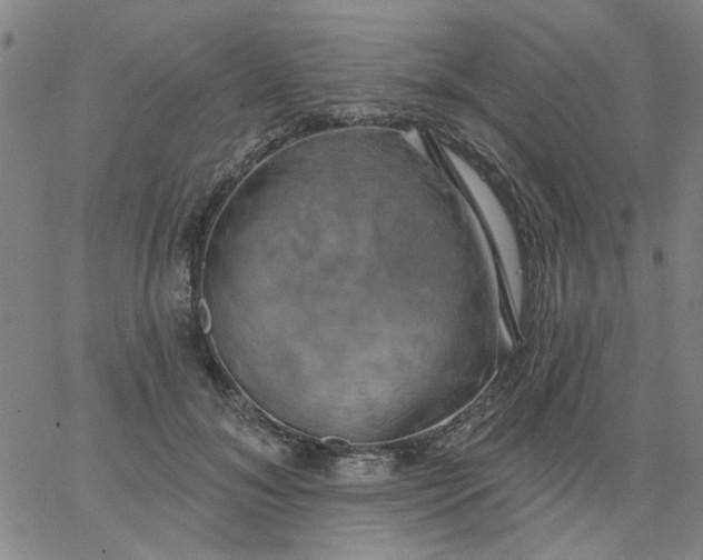 X0000067390700200604131932