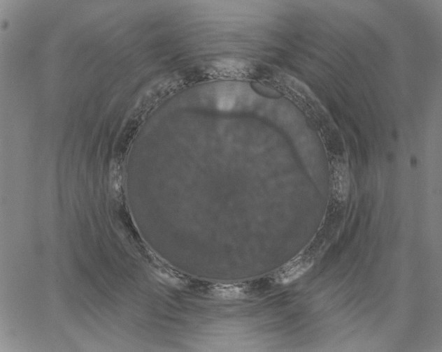 X0000067390701200604131932