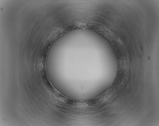 X0000067390702200604131932