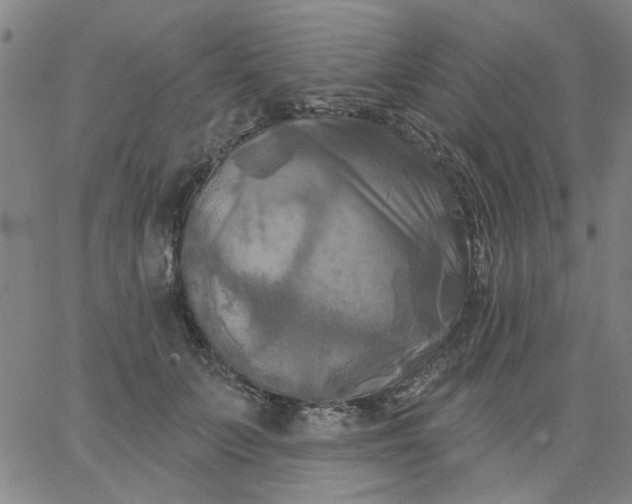 X0000067390703200604131932