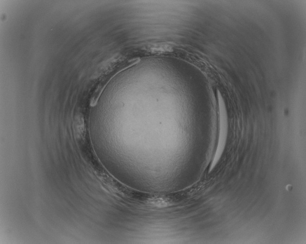 X0000067390704200604131932