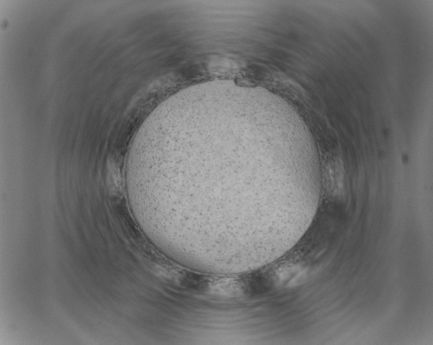 X0000067390705200604131932