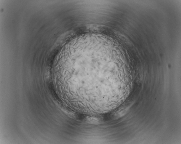 X0000067390706200604131932