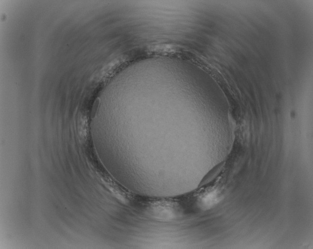 X0000067390708200604131932