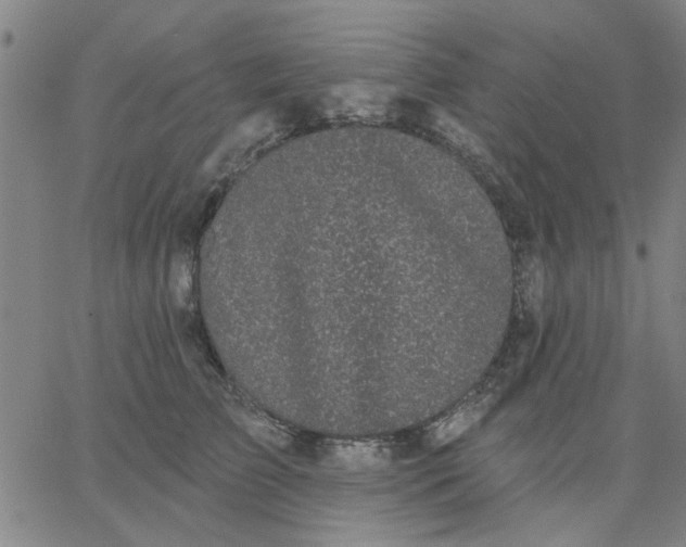 X0000067390709200604131932