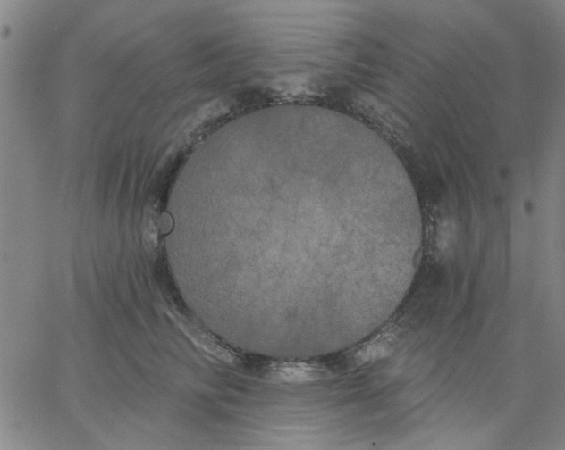 X0000067390710200604131932