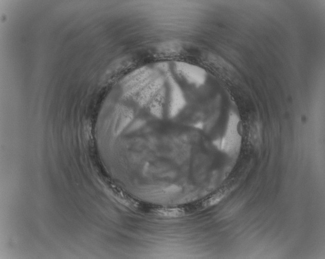 X0000067390711200604131932