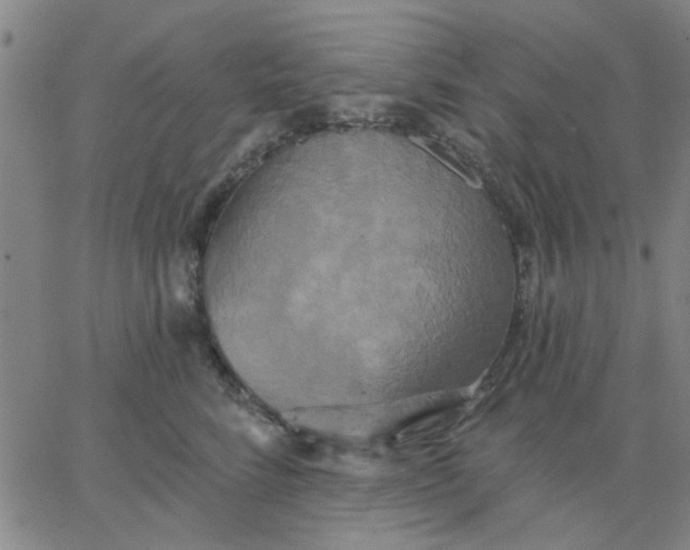 X0000067390712200604131932