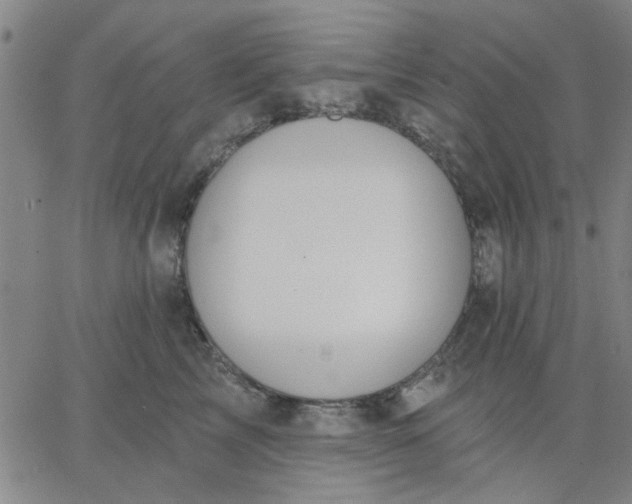 X0000067390713200604131932