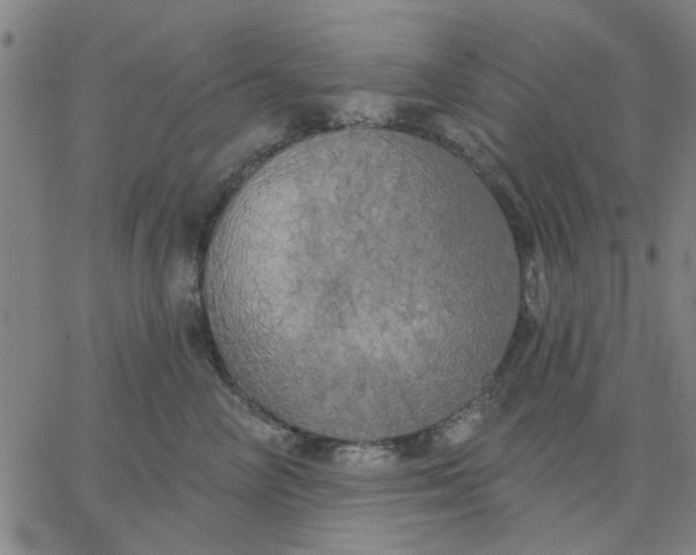 X0000067390714200604131932