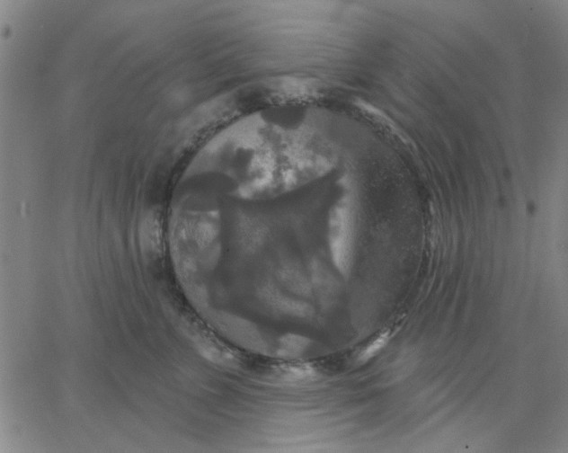 X0000067390715200604131932