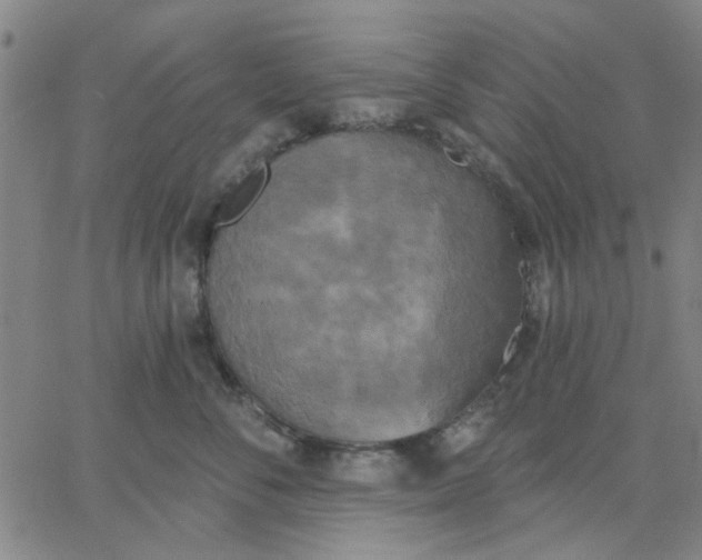 X0000067390716200604131932