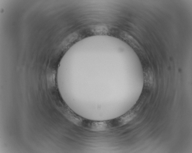 X0000067390717200604131932