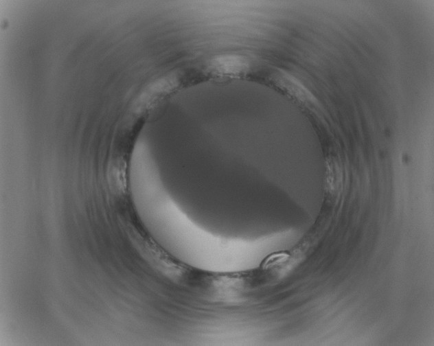 X0000067390718200604131932