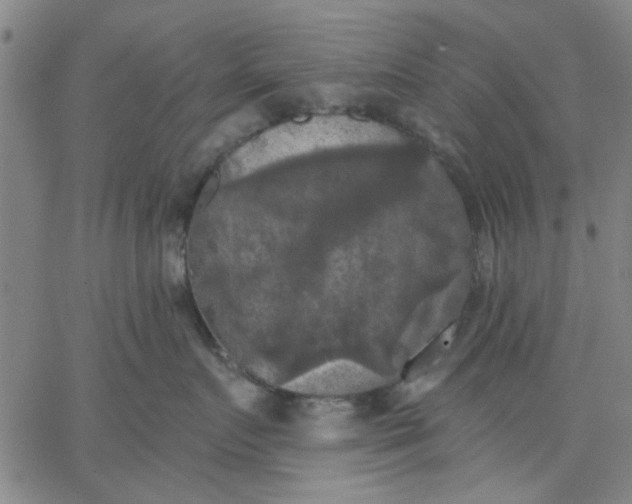 X0000067390719200604131931