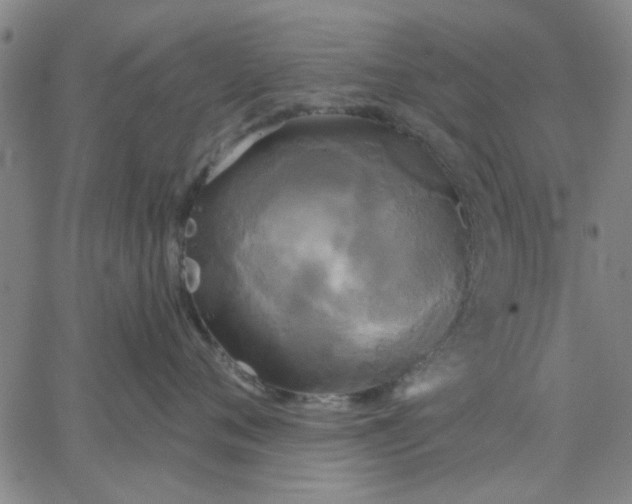 X0000067390720200604131931