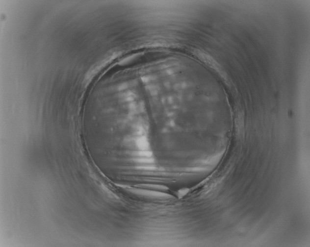 X0000067390721200604131931