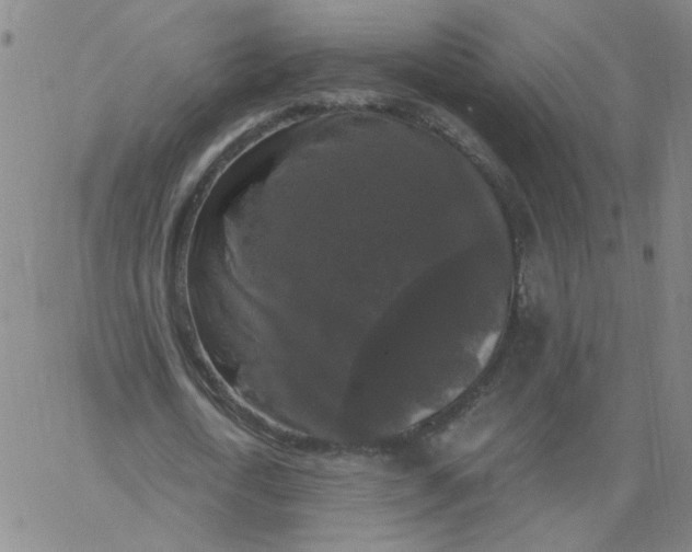 X0000067390722200604131931