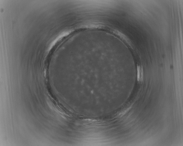 X0000067390723200604131931