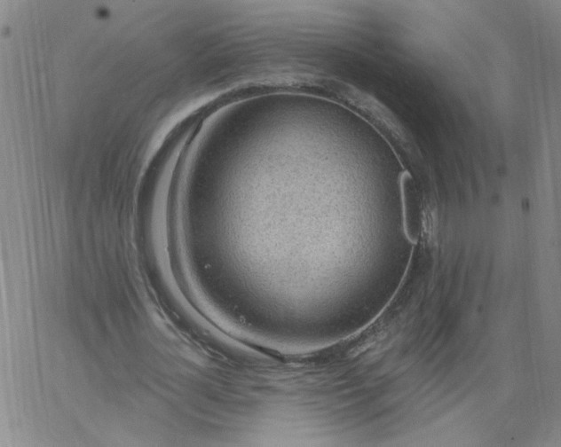 X0000067390724200604131931