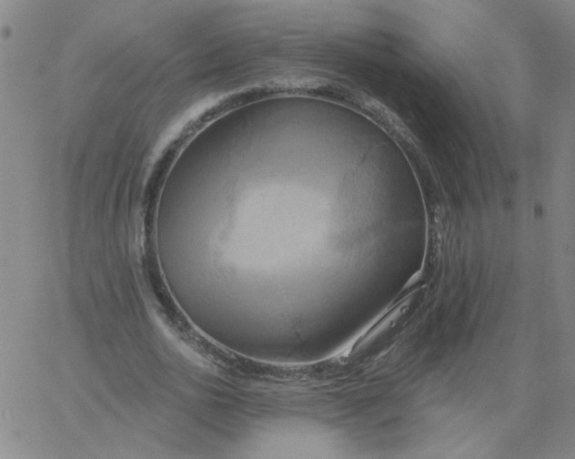 X0000067390726200604131931