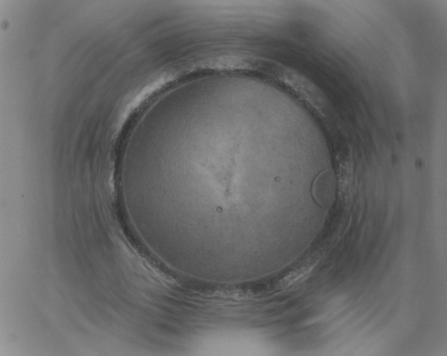 X0000067390727200604131931