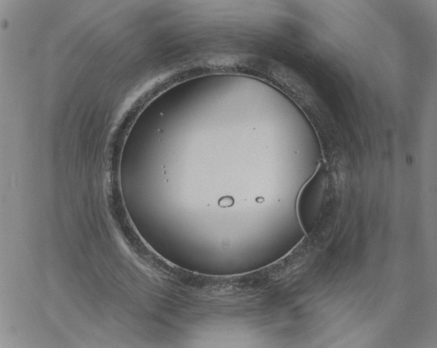 X0000067390728200604131931