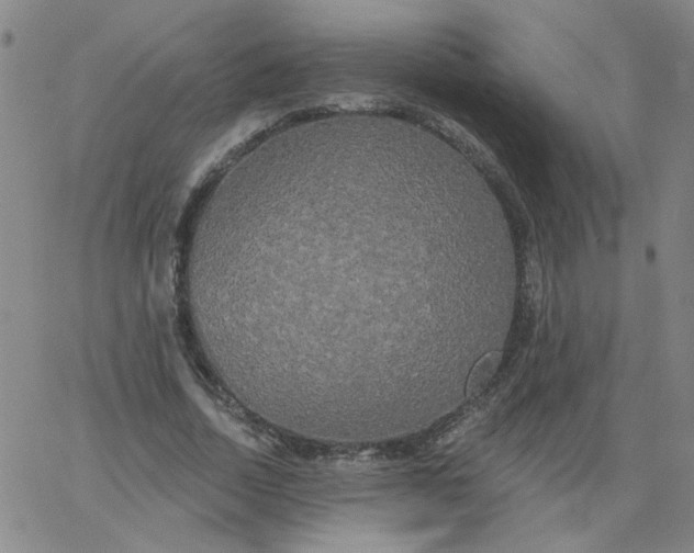 X0000067390730200604131931