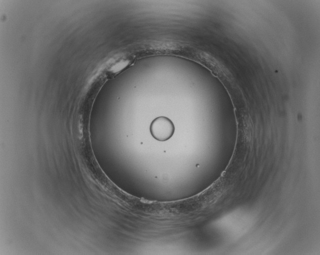 X0000067390731200604131931