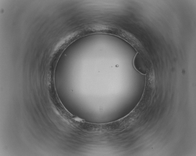 X0000067390732200604131931