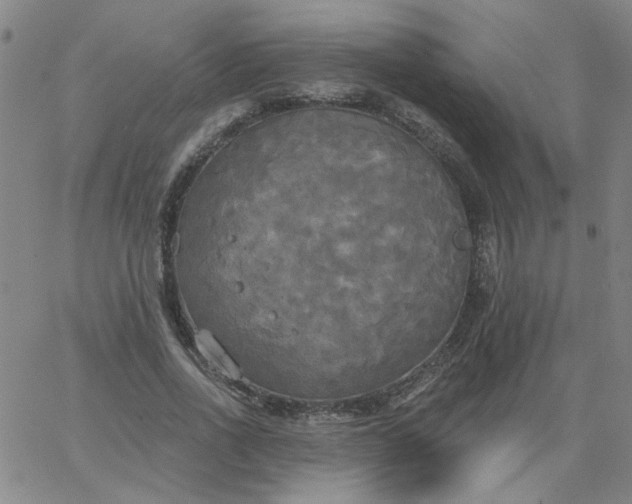 X0000067390734200604131931