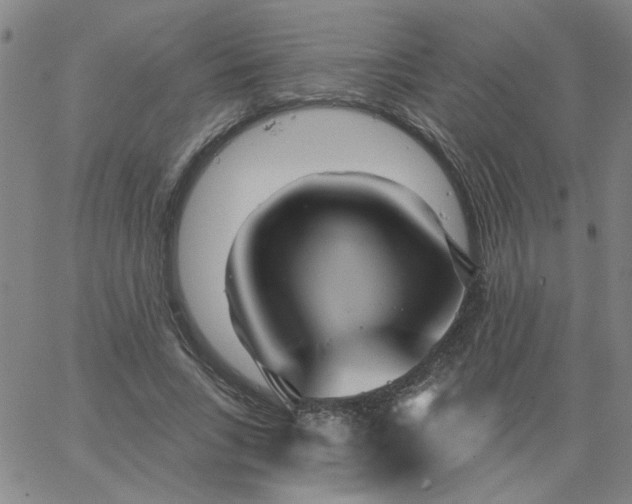 X0000067390735200604131931