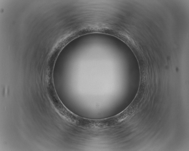 X0000067390736200604131931