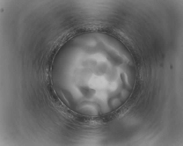 X0000067390737200604131931