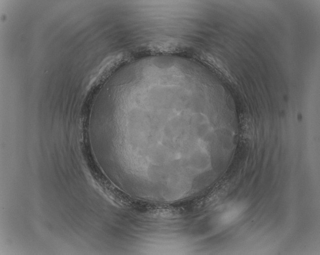 X0000067390738200604131931