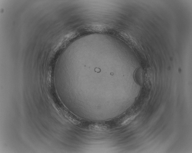 X0000067390739200604131931