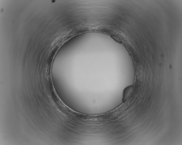 X0000067390740200604131931