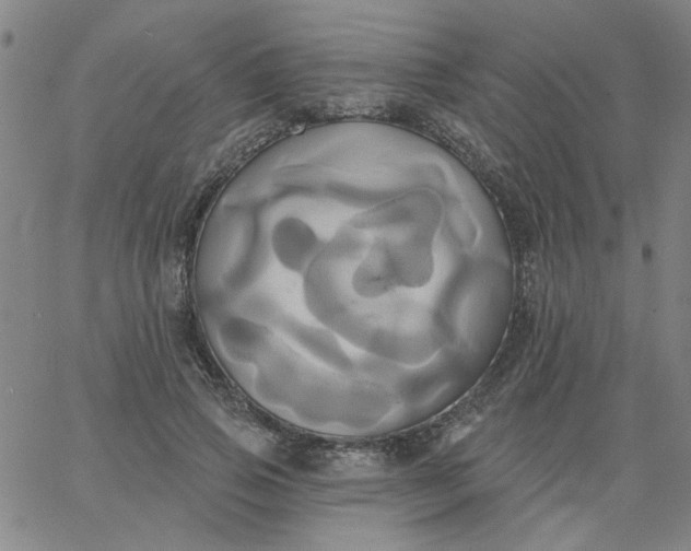 X0000067390741200604131931