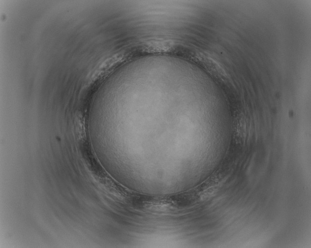 X0000067390743200604131931